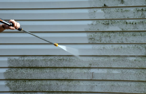 Best Roof Washing  in Delevan, NY
