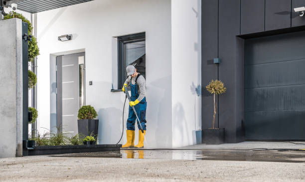 Best Soft Washing  in Delevan, NY